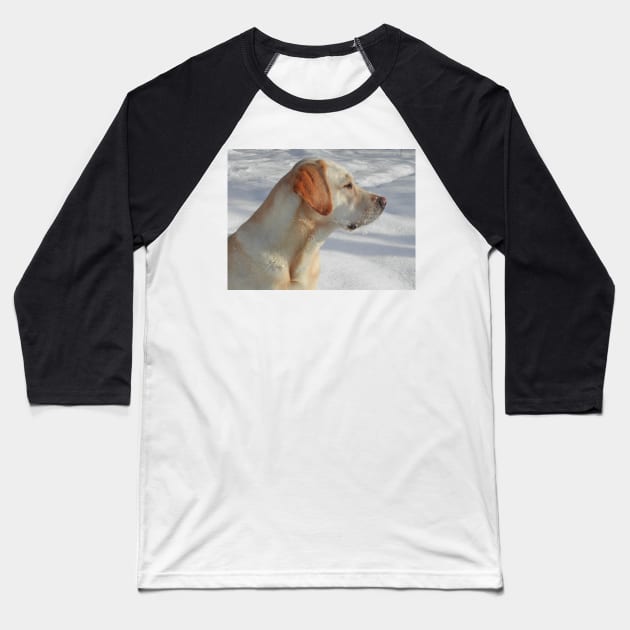 Labrador Retriever Yellow fourth Baseball T-Shirt by Wanderingangel